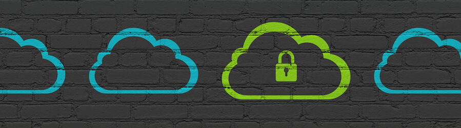 Securing Data in the Cloud , The Swenson Group
